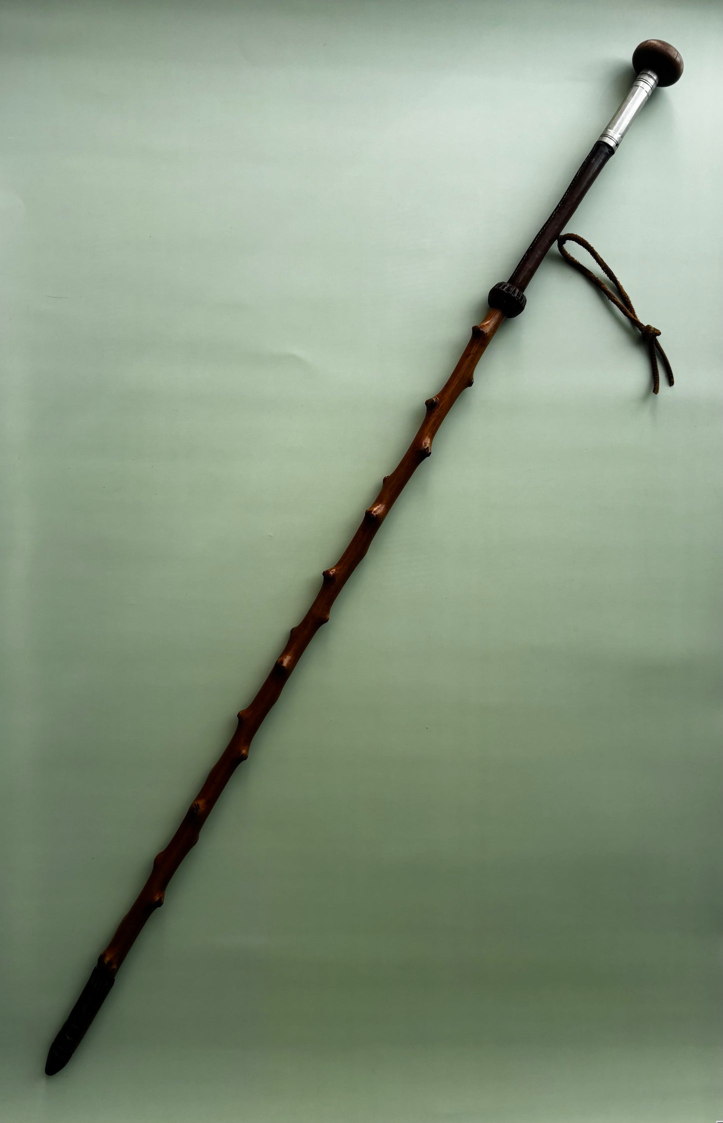 Canne de berger de montagne