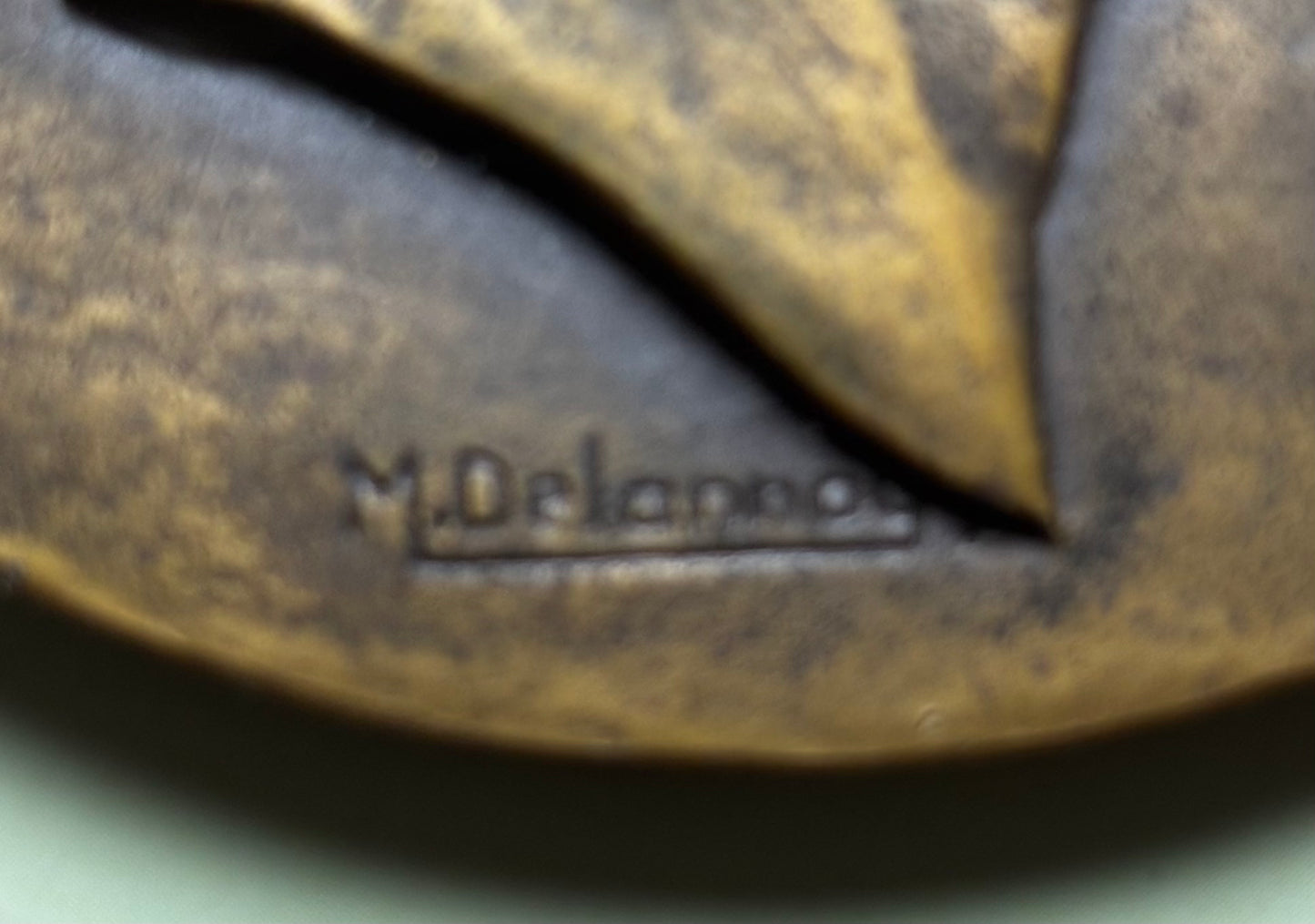 Médaille en Bronze M. Delannoy