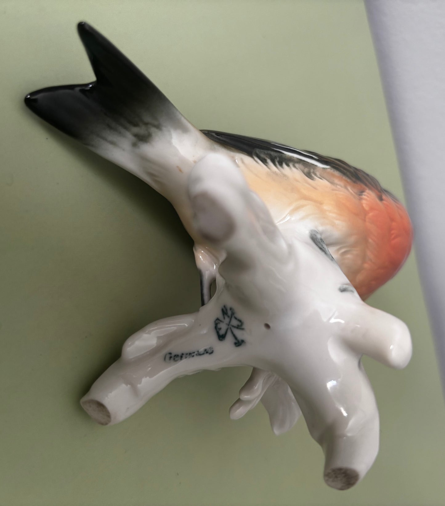 Oiseau Karl Ens