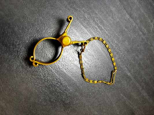 Bijoux de Sac, Pince à gants Belles Trouvailles