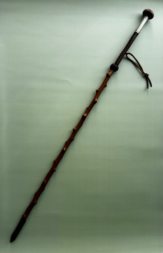 Canne de berger de montagne