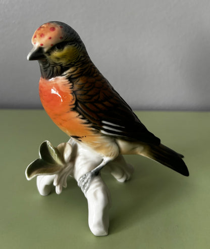 Oiseau Karl Ens